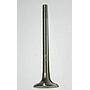 Cylinder Exhaust Valve Compatible With :